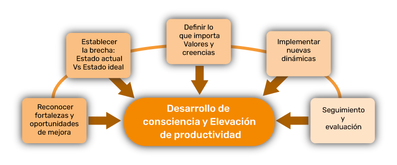 fig-coach-3